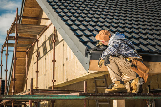 Best Roof Gutter Cleaning  in Willards, MD